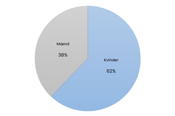 Demografi på rejsebloggen